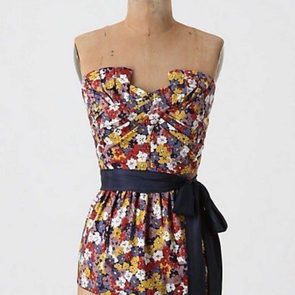 Anthropologie Porridge Wildflowers in Flight